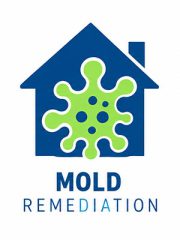 icn-MoldDamage